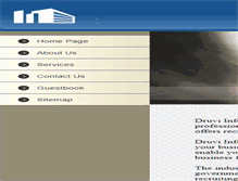 Tablet Screenshot of druviinfosys.com
